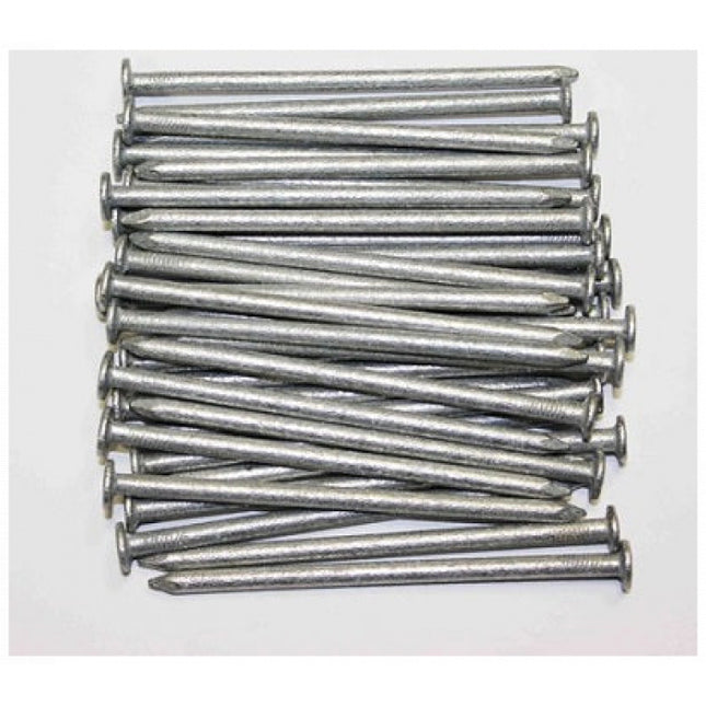 100mm Wire Nails (4 inch)